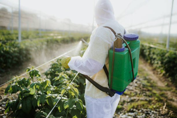 Best Pest Removal Services  in Slater Marietta, SC